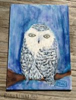 Snowy Owl